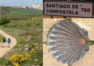 Camino image 1