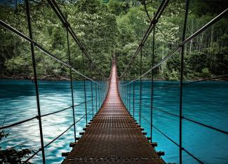 Suspension Bridge